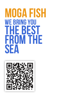 Moga Fish | Specialize in producing and exporting a wide range of ...